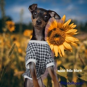 Large hounds tooth dog sweatshirt